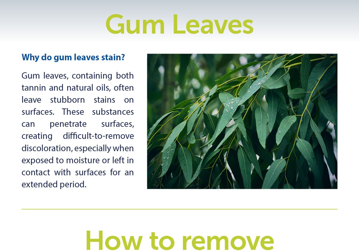 Tips For Removing Leaf Stains